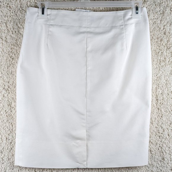 The Limited* Women's Fully Lined Side Zipper Closure Full A-Line‎ Skirt~ Size 10 - Picture 2 of 8